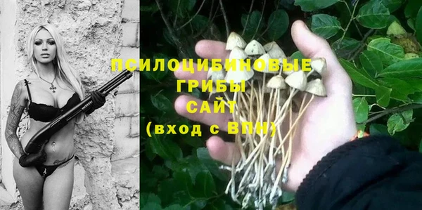 амфетамин Алексин